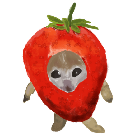 Strawberry cat
